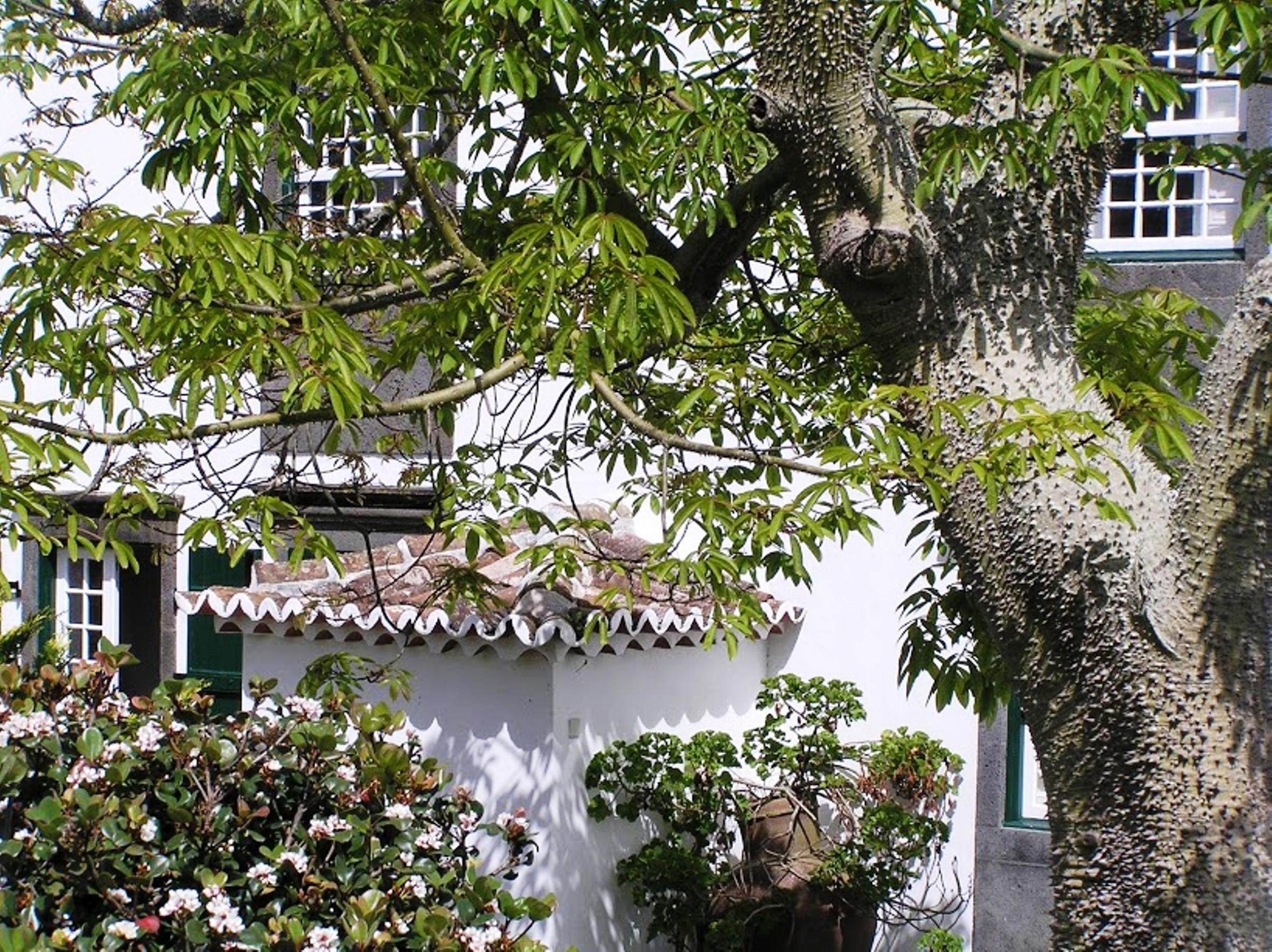 Casa das Calhetas - Turismo de Habitação Extérieur photo